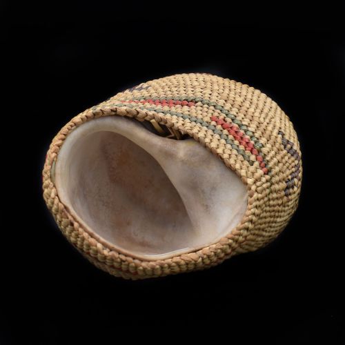 NUU-CHAH-NULTH SHELL